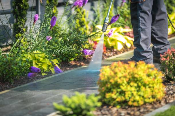 Best Spring Cleaning  in Loganville, PA